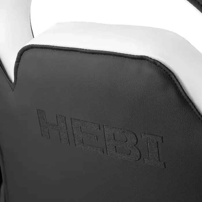 გეიმერული სკამი 2E GAMING Chair HEBI, PU Leather, Foldable Armrests, black-white - Image 4