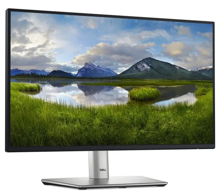 მონიტორი DELL P2225H 21.5" - Image 10
