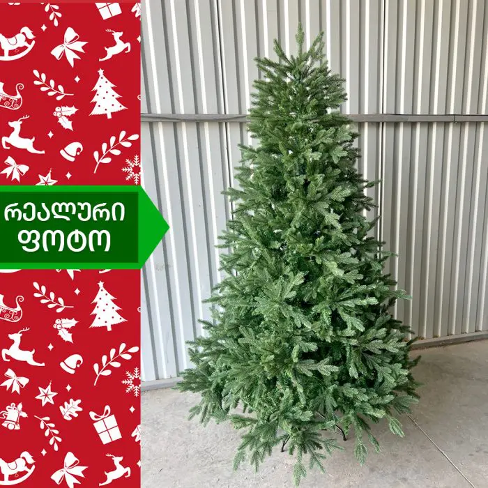 ნაძვის ხე ბრუკლინი 180 სმ (HS-180) - Image 3