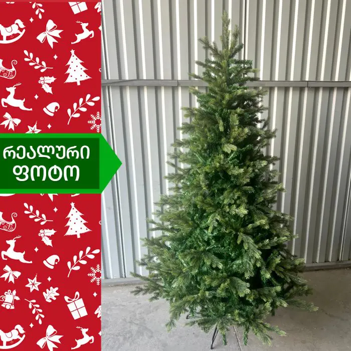 ნაძვის ხე ვენეცია 180 სმ (MS-180) - Image 4