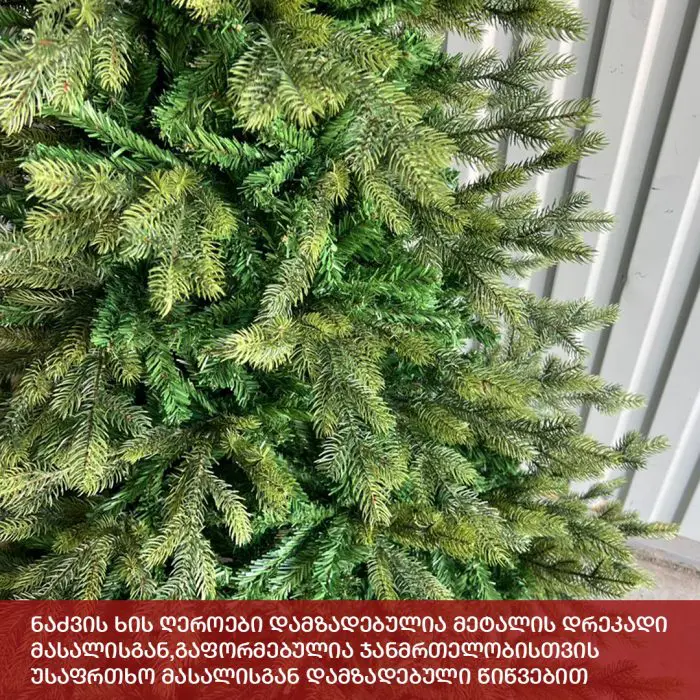 ნაძვის ხე ვენეცია 180 სმ (MS-180) - Image 5