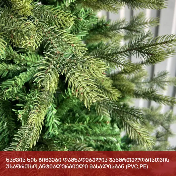 ნაძვის ხე ვენეცია 180 სმ (MS-180) - Image 6