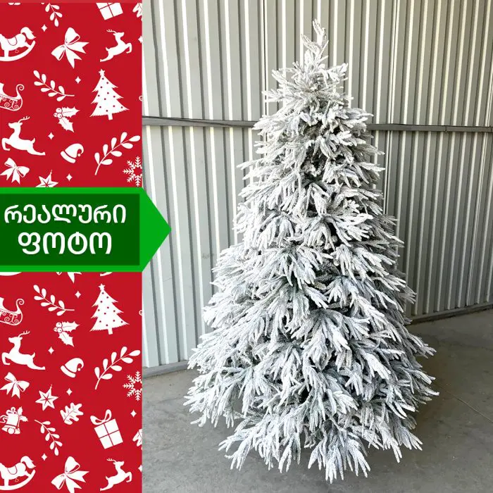 ნაძვის ხე კანადა 210 სმ (TS-210) - Image 3