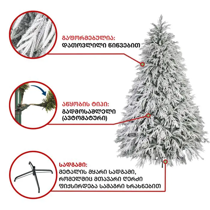 ნაძვის ხე კანადა 210 სმ (TS-210) - Image 4