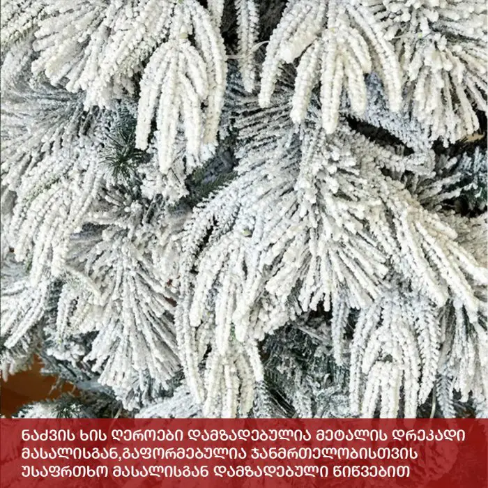 ნაძვის ხე კანადა 210 სმ (TS-210) - Image 5