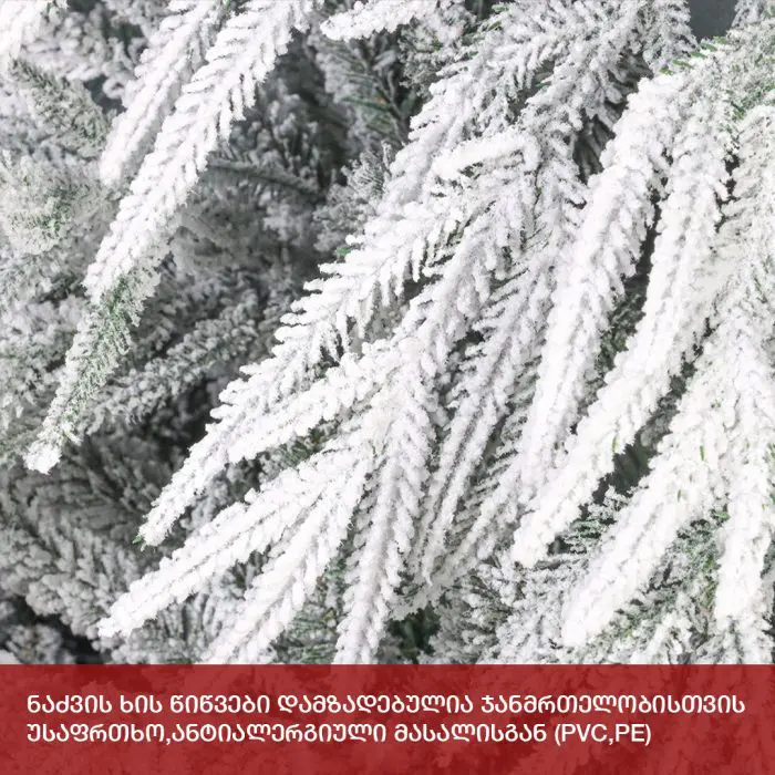 ნაძვის ხე კანადა 210 სმ (TS-210) - Image 6