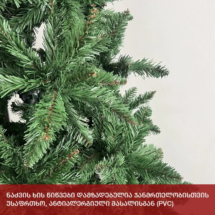 ნაძვის ხე კოპენჰაგენი 180 სმ (AS-180) - Image 6