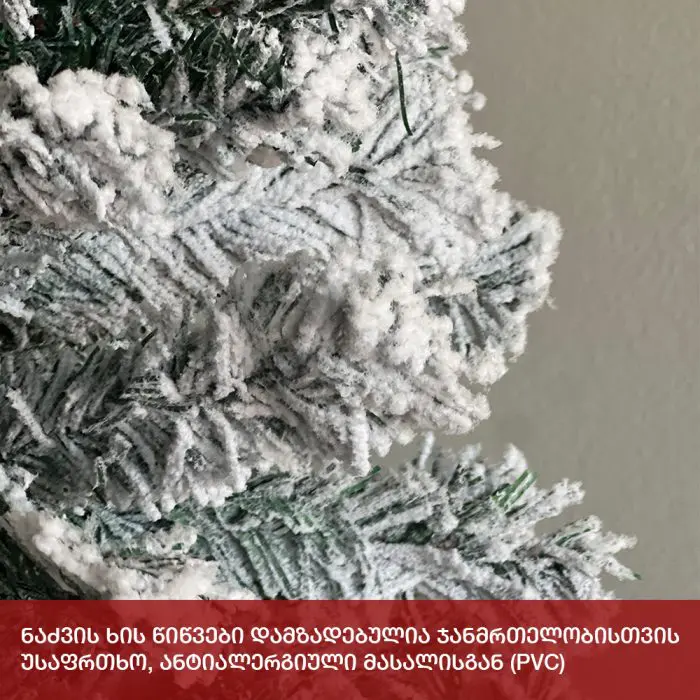 ნაძვის ხე პარიზი 180 სმ (FS-180) - Image 7