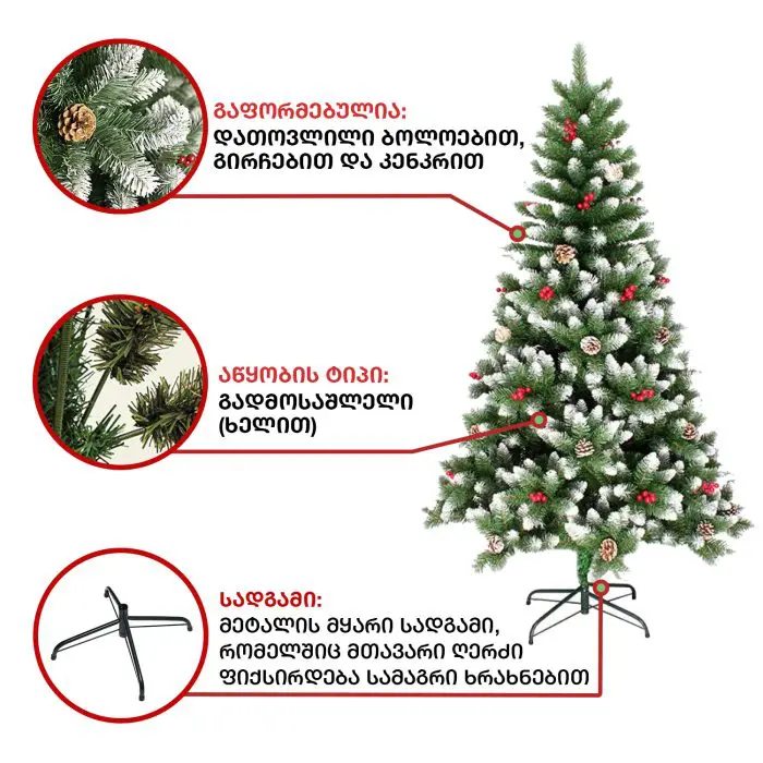 ნაძვის ხე პრაღა 200 სმ (CS-200) - Image 2