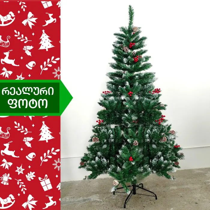 ნაძვის ხე პრაღა 200 სმ (CS-200) - Image 3