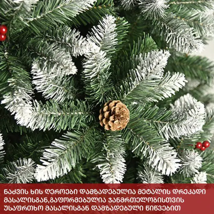 ნაძვის ხე პრაღა 200 სმ (CS-200) - Image 4