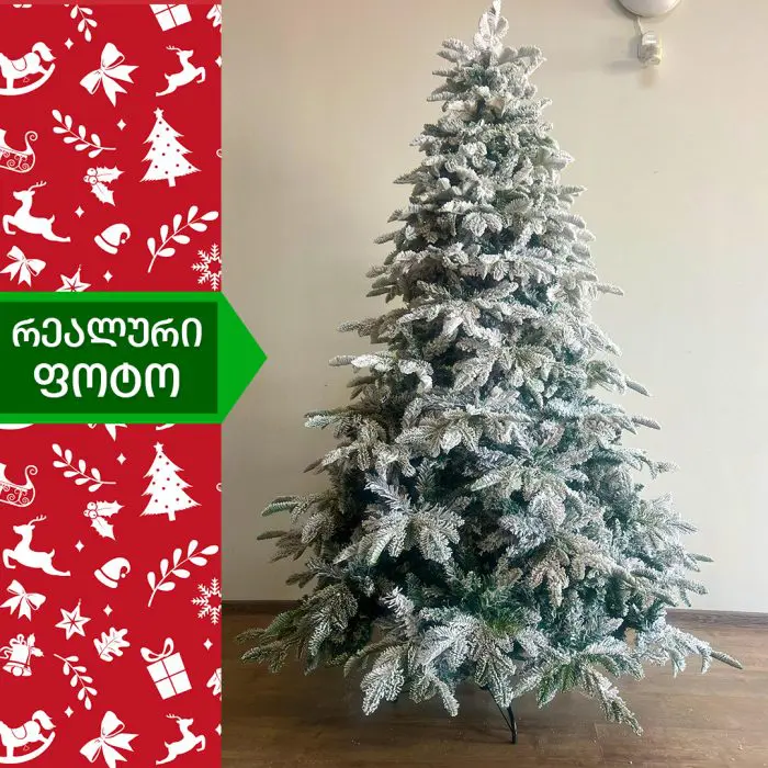 ნაძვის ხე სტოკჰოლმი 180 სმ (GS-180) - Image 5