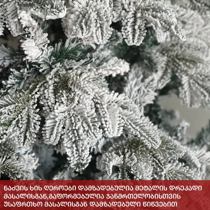 ნაძვის ხე სტოკჰოლმი 180 სმ (GS-180) - Image 6