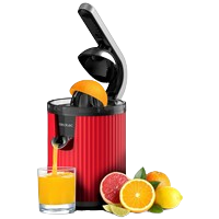 წვენსაწური